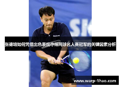 张德培如何凭借出色表现夺得网球名人赛冠军的关键因素分析