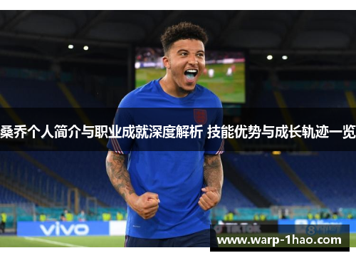 桑乔个人简介与职业成就深度解析 技能优势与成长轨迹一览