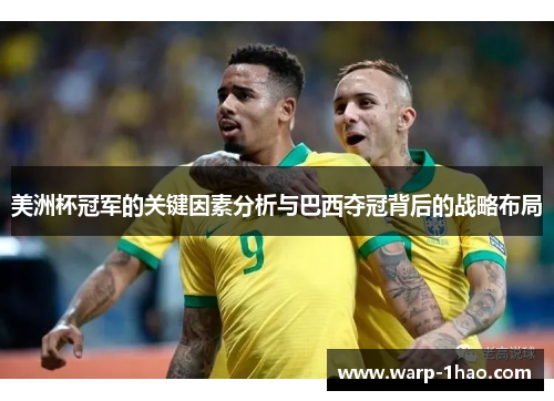 美洲杯冠军的关键因素分析与巴西夺冠背后的战略布局