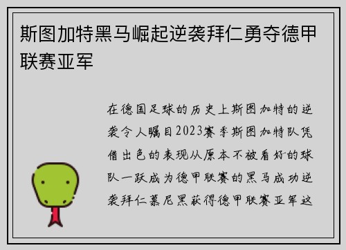 斯图加特黑马崛起逆袭拜仁勇夺德甲联赛亚军